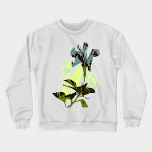 Flower and bird Crewneck Sweatshirt